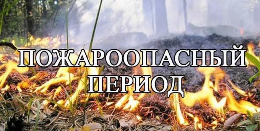 По данным ФГБУ «Верхне-Волжское УГМС», в период с 27 по 30 июня 2023 г. местами по Нижегородской области сохранится чрезвычайная (5 класс) и высокая (4 класс) пожароопасность лесов и торфяников.