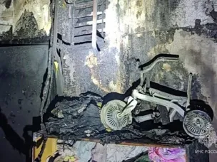 Пожарный извещатель спас жизни 5 человек на пожаре в п. Керженец городского округа Семеновский.