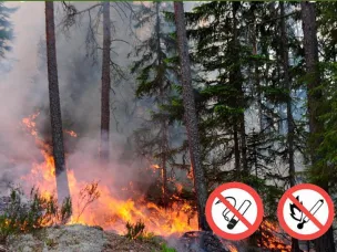 Пожарная опасность в лесах.