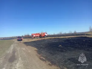 В Нижегородской области произошло первое возгорание сухой растительности