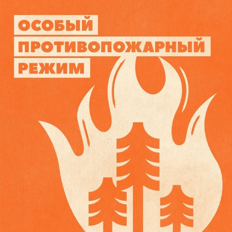 В регионе объявлен особый противопожарный режим!