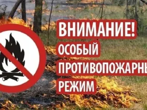 На территории Нижегородской области введен особый противопожарный режим.