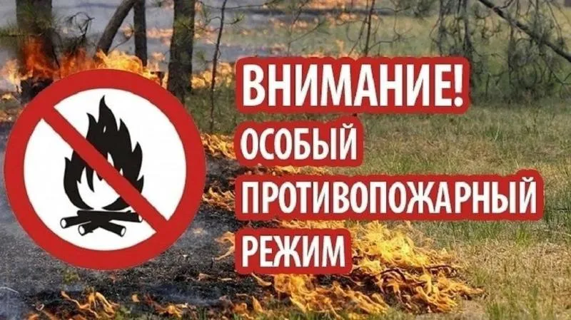 На территории Нижегородской области введен особый противопожарный режим.
