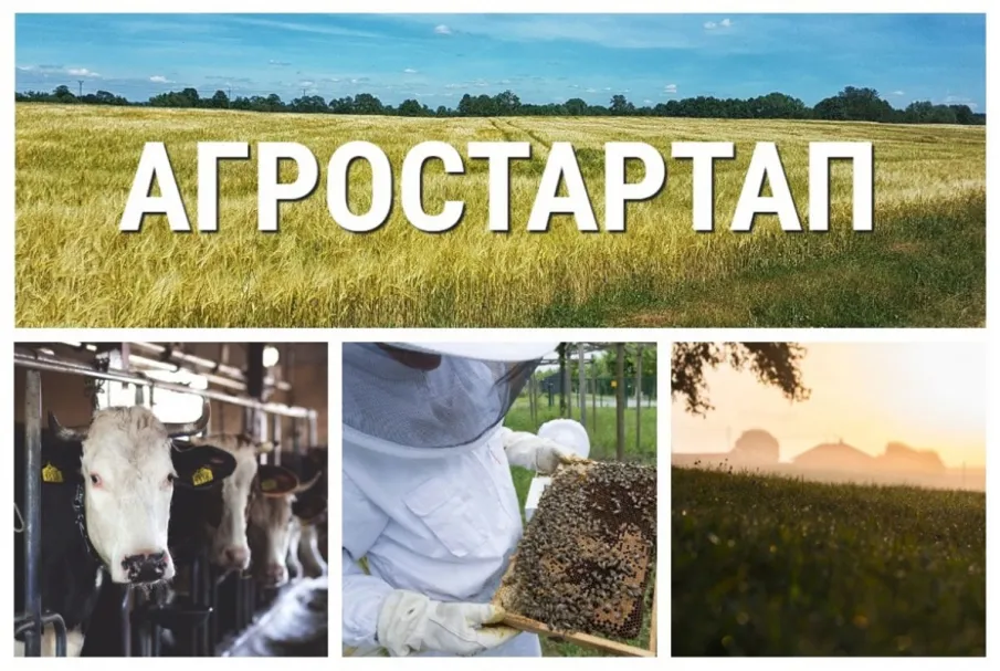ВНИМАНИЕ Конкурс «Агростартап».