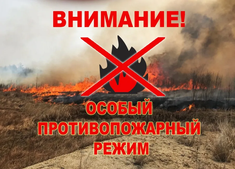 Напоминаем, что на территории Нижегородской области введён особый противопожарный режим !