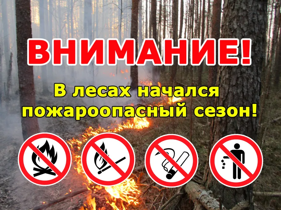 По данным ФГБУ «Верхне-Волжское УГМС», 18 апреля 2023 г. по Нижегородской области ожидается высокая (4 класс) пожароопасность лесов с сохранением до 23 апреля.