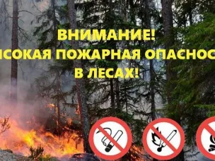 Пожарная опасность в лесах.