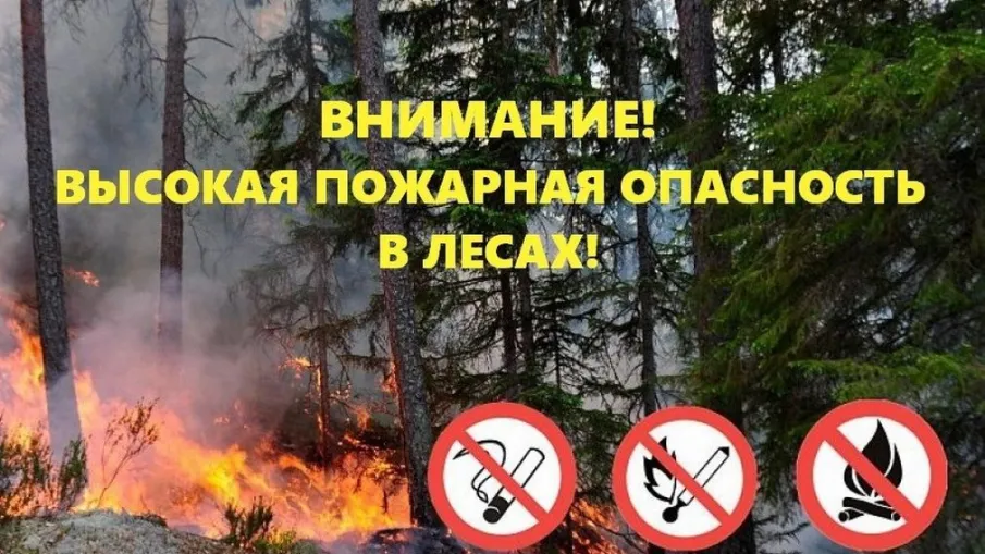 Пожарная опасность в лесах.