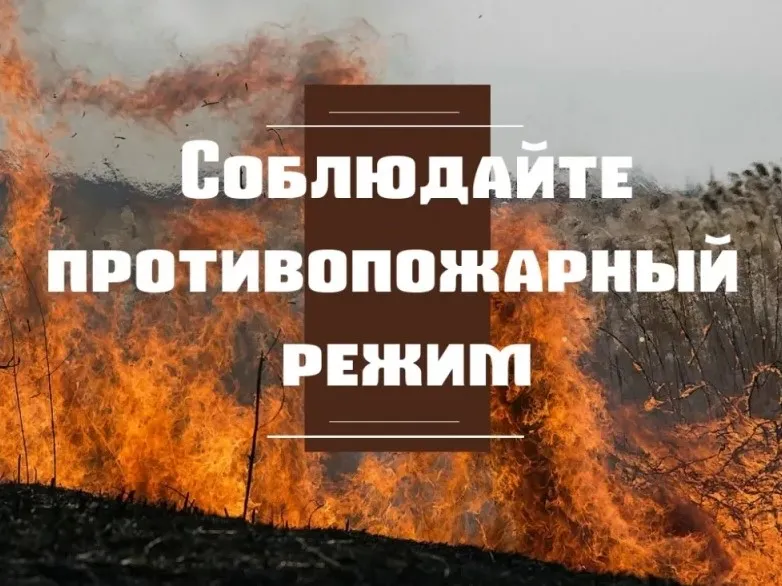 Внимание!