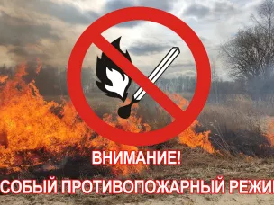 В связи с повышением пожарной опасности с 20 апреля 2023 года на территории региона, в т.ч. на территории Шаранского муниципального округа и на землях лесного фонда, введен особый противопожарный режим!