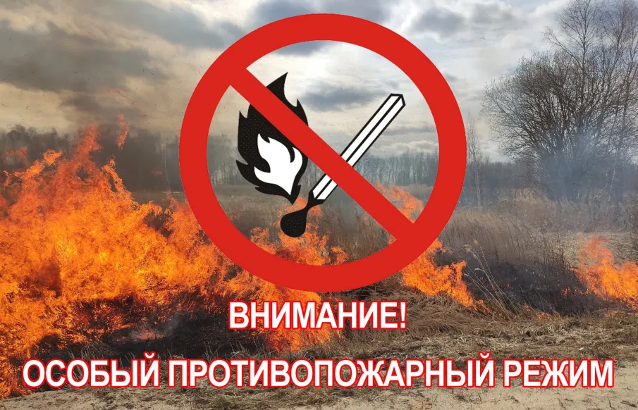 В связи с повышением пожарной опасности с 20 апреля 2023 года на территории региона, в т.ч. на территории Шаранского муниципального округа и на землях лесного фонда, введен особый противопожарный режим!