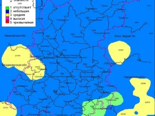 По данным ФГБУ «Верхне-Волжское УГМС», 03.05.2023 на территории области установился 2, местами 3 класс пожароопасности лесов и торфяников.