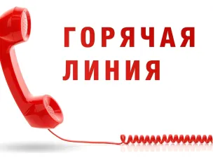 Горячая линия по вопросам исполнения законодательства об охране и использовании лесов, в том числе об обеспечении пожарной безопасности.