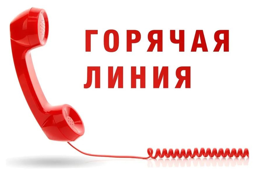 Горячая линия по вопросам исполнения законодательства об охране и использовании лесов, в том числе об обеспечении пожарной безопасности.