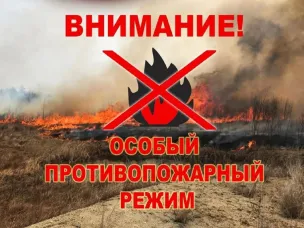На территории Шарангского округа и Нижегородской области в целом установился 5 класс пожарной опасности