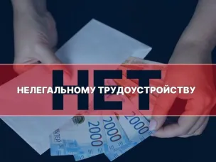 Нелегальная занятость (или «теневая», «серая» занятость) — это вид занятости, когда факт установления трудовых отношений между работником и работодателем скрывается от официальных властей.