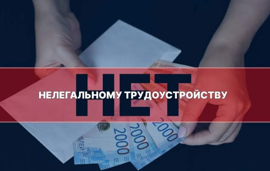 Нелегальная занятость (или «теневая», «серая» занятость) — это вид занятости, когда факт установления трудовых отношений между работником и работодателем скрывается от официальных властей.