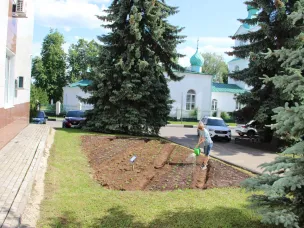 Сотрудники администрации и территориального отдела рп Шаранга приступили к высадке цветов.