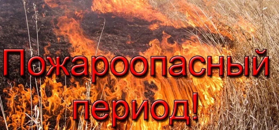По данным ФГБУ «Верхне-Волжское УГМС», 10.09.2024 на территории области установился 4, местами 5 класс пожароопасности лесов и торфяников.