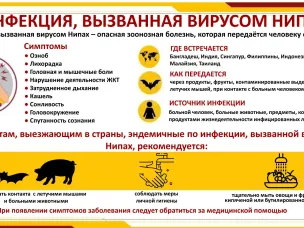 Памятко о профилактике инфекции, вызванной вирусом НИПАХ