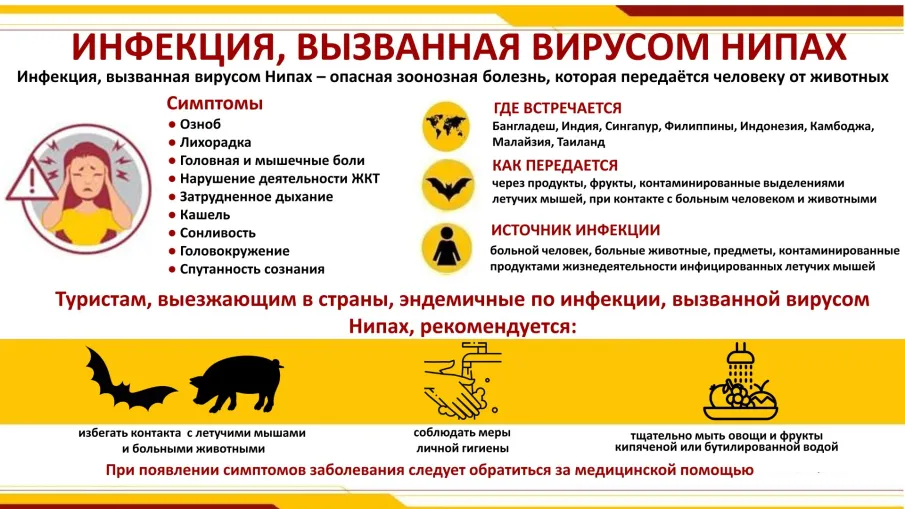 Памятко о профилактике инфекции, вызванной вирусом НИПАХ