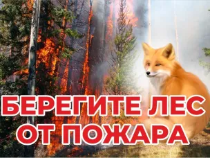 По данным ФГБУ «Верхне-Волжское УГМС», в период с 19 по 22 августа 2023г. местами по Нижегородской области и Нижнему Новгороду сохранится высокая (4 класс) пожароопасность лесов и торфяников.