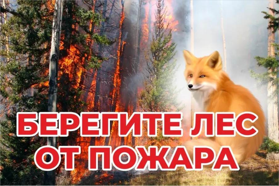 По данным ФГБУ «Верхне-Волжское УГМС», в период с 19 по 22 августа 2023г. местами по Нижегородской области и Нижнему Новгороду сохранится высокая (4 класс) пожароопасность лесов и торфяников.